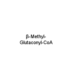 β-Methyl-Glutaconyl-CoA