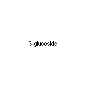 β-glucoside