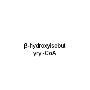 β-hydroxyisobutyryl-CoA