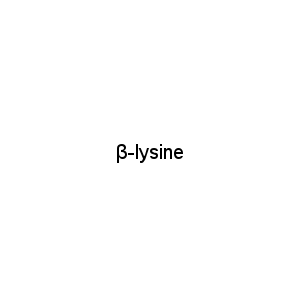 β-lysine