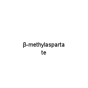 β-methylaspartate