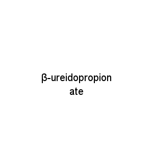 β-ureidopropionate