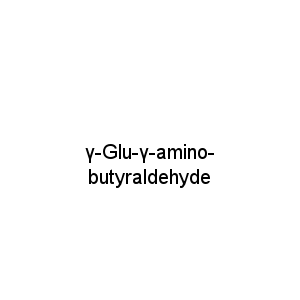 γ-Glu-γ-amino-butyraldehyde