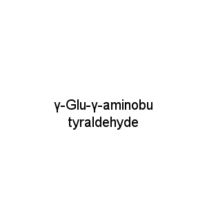 γ-Glu-γ-aminobutyraldehyde