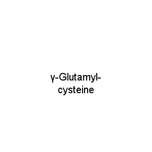 γ-Glutamyl-cysteine