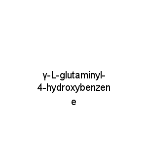γ-L-glutaminyl-4-hydroxybenzene