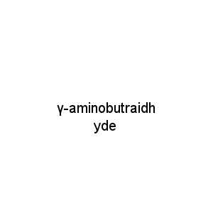 γ-aminobutraidhyde