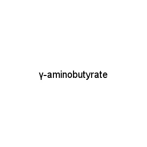 γ-aminobutyrate