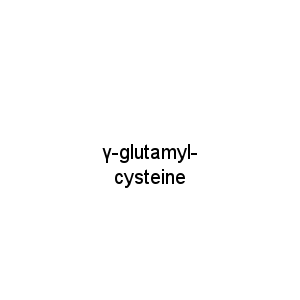 γ-glutamyl-cysteine