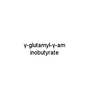 γ-glutamyl-γ-aminobutyrate