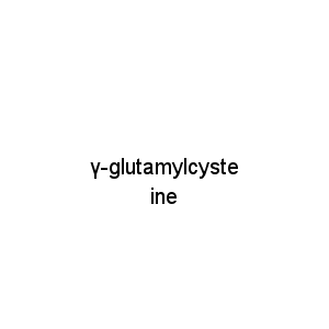 γ-glutamylcysteine