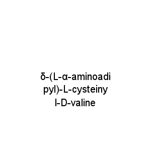 δ-(L-α-aminoadipyl)-L-cysteinyl-D-valine