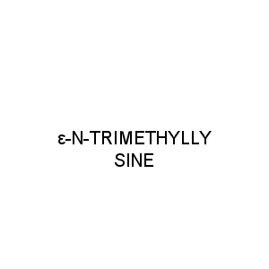 ε-N-TRIMETHYLLYSINE